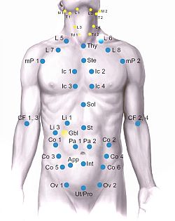 Whole-Body Regulation Thermography (AlfaSight 9000)