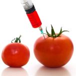 GMO foods