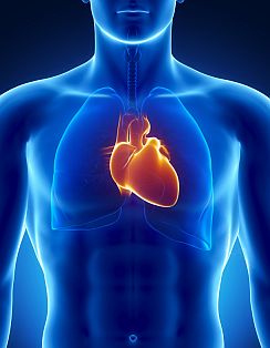 HEART Health