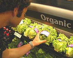 What does it mean when food is labeled "organic" and is it actually better for you?