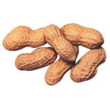 What is the problem with PEANUTS?